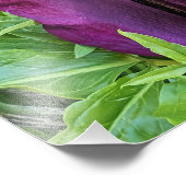 Blooming Lila Dragon Lily Floral Fotodruck (Ecke)