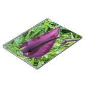 Blooming Lila Dragon Lily Floral Notizblock (Linke Seite)