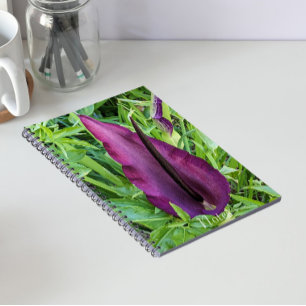 Blooming Lila Dragon Lily Floral Notizblock