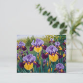 Blooming Lila Yellow Iris Blume Postkarte (Stehend Vorderseite)