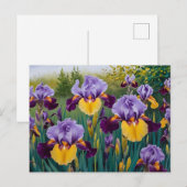 Blooming Lila Yellow Iris Blume Postkarte (Vorne/Hinten)