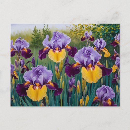 Blooming Lila Yellow Iris Blume Postkarte (Vorderseite)
