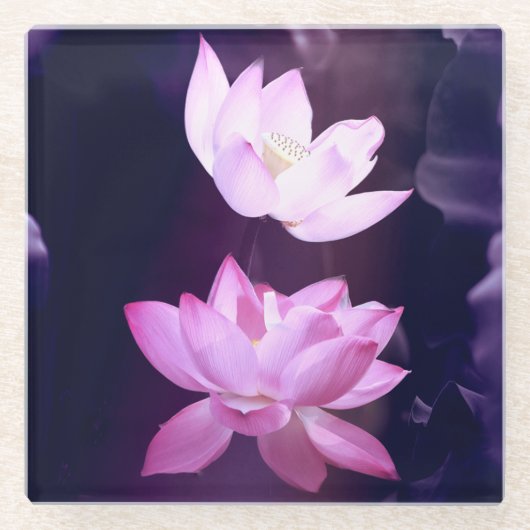 Blooming Lotus Blume Glasuntersetzer (Vorderseite)