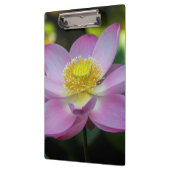 Blooming lotus Blume, Indonesien Klemmbrett (Links)