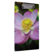 Blooming lotus Blume, Indonesien Klemmbrett (Rechts)