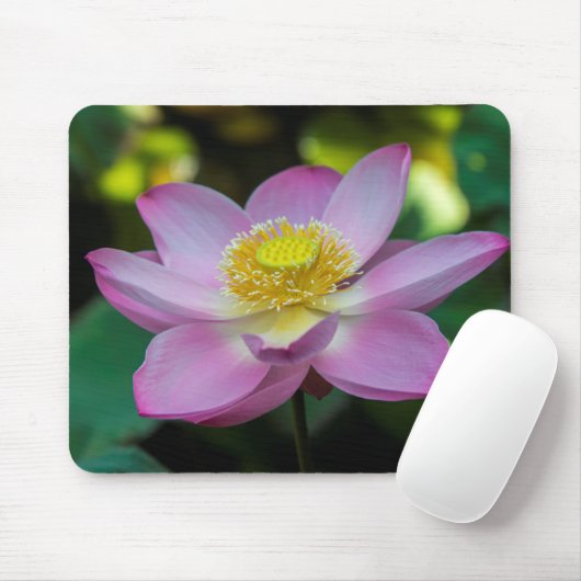 Blooming lotus Blume, Indonesien Mousepad (Mit Mouse)