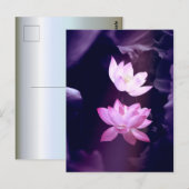 Blooming Lotus Blume Postkarte (Vorne/Hinten)