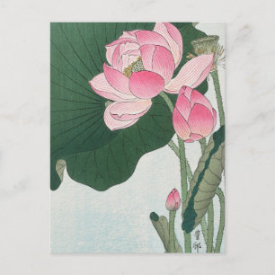 Blooming Lotus-Blume von Ohara Koson Postkarte