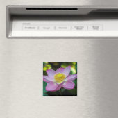 Blooming lotus flower, Indonesien Magnet (In Situ (Geschirrspüler))