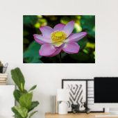 Blooming lotus flower, Indonesien Poster (Heimbüro)