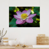 Blooming lotus flower, Indonesien Poster (Küche)