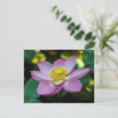 Blooming lotus flower, Indonesien Postkarte (Stehend Vorderseite)