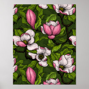 Blooming magnolia on dark green poster