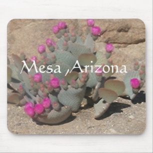 Blooming pink cactus flowers in Mesa, Arizona Mousepad