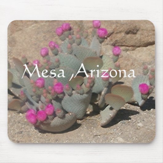 Blooming pink cactus flowers in Mesa, Arizona Mousepad (Vorne)