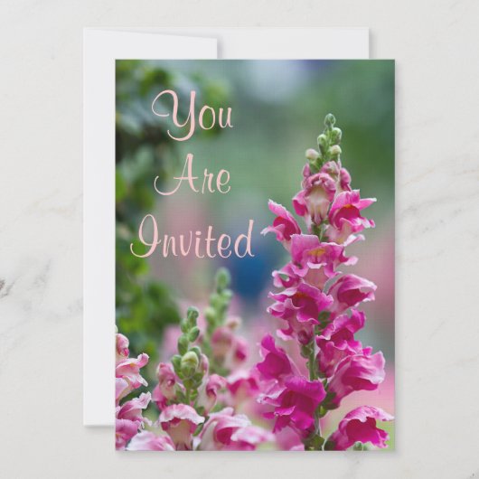 Blooming Pink Foxglove Einladung (Vorderseite)