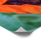 Blooming Poppy Poster (Ecke)