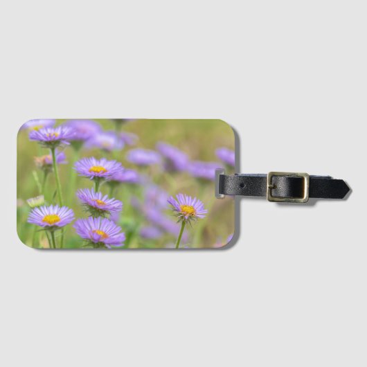 Blooming Seaside Daisies Gepäckanhänger (Vorderseite (Horizontal))