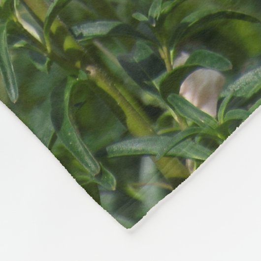 Blooming Snapdragon Vlies Decke (Ecke)