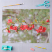 Blooming Spring Seidenpapier (Basteln)