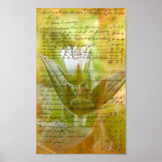 Blooming White Blume Vintag Handwriting Poster (Vorne)