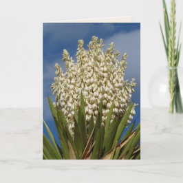 Blooming Yucca, Blume, SÜDW-Blank-Begrüßung Karte
