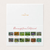 Bloomings aus Kalifornien! (Außenseite Aufgefaltet)