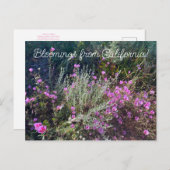 Bloomings aus Kalifornien: Abschied vom Frühling! Postkarte (Vorne/Hinten)