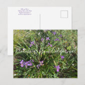 Bloomings aus Kalifornien: April Iris Postkarte (Vorne/Hinten)