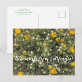 Bloomings aus Kalifornien: Asilomar Staat Beach Postkarte (Vorne/Hinten)