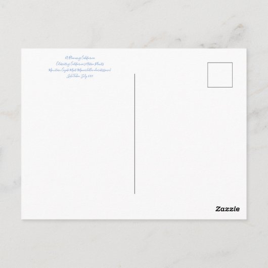 Bloomings aus Kalifornien: Bergkoyote-Minze Postkarte (Rückseite)