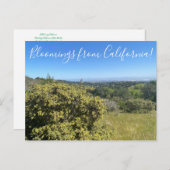 Bloomings aus Kalifornien: Big Saltbush Postkarte (Vorne/Hinten)