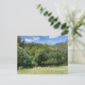 Bloomings aus Kalifornien: Buckeyes Postkarte (Stehend Vorderseite)