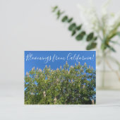 Bloomings aus Kalifornien: California Buckeye Postkarte (Stehend Vorderseite)