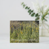 Bloomings aus Kalifornien: California Goldenrod Postkarte (Stehend Vorderseite)
