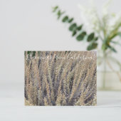 Bloomings aus Kalifornien: California Sagebrush Postkarte (Stehend Vorderseite)