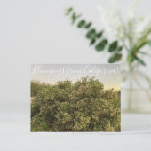 Bloomings aus Kalifornien: Coyote Bush Postkarte (Stehend Vorderseite)