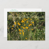 Bloomings aus Kalifornien: Goldener Pfeil Postkarte (Vorne/Hinten)