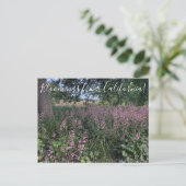 Bloomings aus Kalifornien: Heuchera 'Rosada' Postkarte (Stehend Vorderseite)