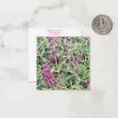 Bloomings aus Kalifornien: Hummingbird Sage Mitteilungskarte (Vorderseite/Rückseite Beispiel)