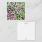 Bloomings aus Kalifornien: Hummingbird Sage Mitteilungskarte (Vorne/Hinten)