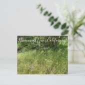 Bloomings aus Kalifornien: Ithurieler Speer Postkarte (Stehend Vorderseite)