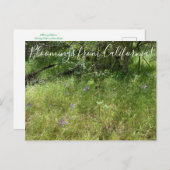 Bloomings aus Kalifornien: Ithurieler Speer Postkarte (Vorne/Hinten)