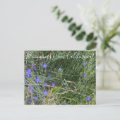 Bloomings aus Kalifornien: Ithuriels Speer Postkarte (Stehend Vorderseite)