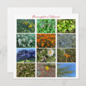 Bloomings aus Kalifornien! Mitteilungskarte (Vorne/Hinten)