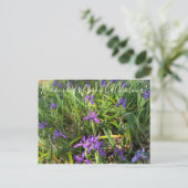Bloomings aus Kalifornien: Pazifikküste - Iris Pos Postkarte (Stehend Vorderseite)