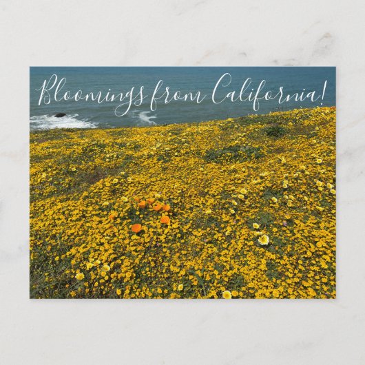 Bloomings aus Kalifornien! Postkarte (Vorderseite)