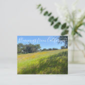 Bloomings aus Kalifornien! Postkarte (Stehend Vorderseite)