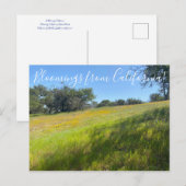 Bloomings aus Kalifornien! Postkarte (Vorne/Hinten)