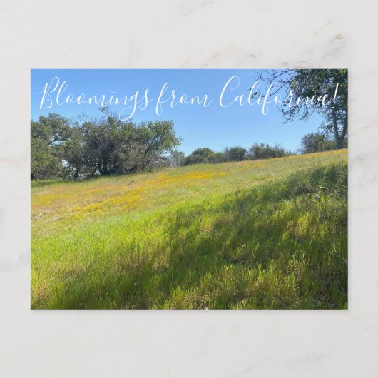 Bloomings aus Kalifornien! Postkarte (Vorderseite)